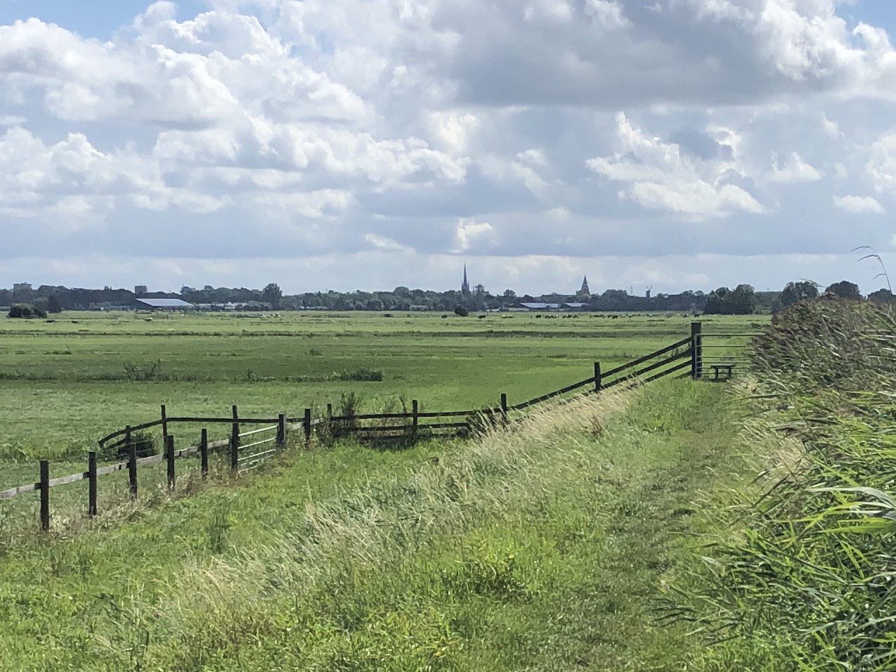 E11 krt 13 groen polderland met zicht op Woerden